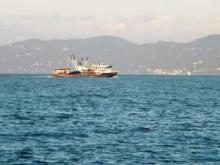 Trol avcılığı yasaklandı....
